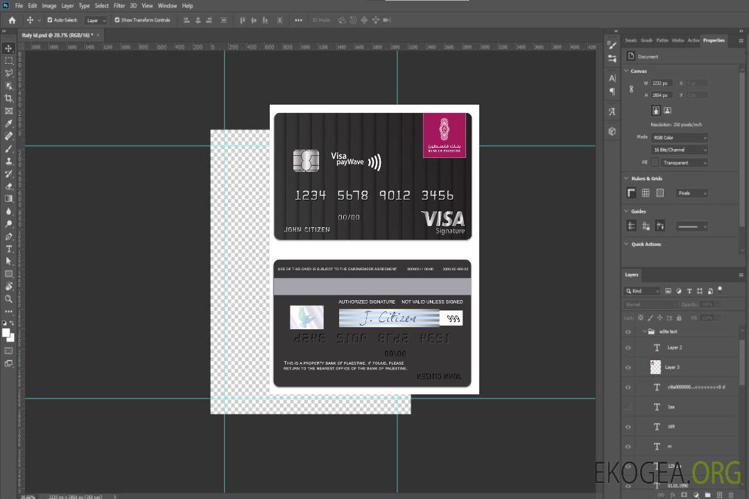 Carte de signature de visa de la Banque d'État palestinienne de Palestine template Carte de signature de visa de la Banque d'État palestinienne de Palestine template